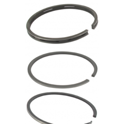 Segments 298984 +0.020" BRIGGS STRATTON