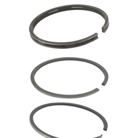 Segments 298984 +0.020" BRIGGS STRATTON