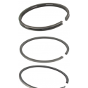 Segments 298984 +0.020" BRIGGS STRATTON