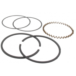 Segments 499997  BRIGGS STRATTON